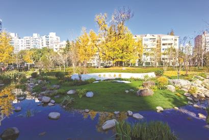 涇南公園內的千年古銀杏園是一座園中園，內有一棵上千歲的古銀杏。 陳璽撼 攝