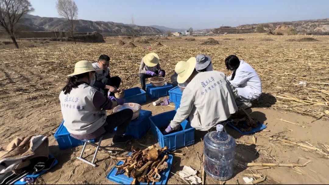 考古隊員在發掘現場清理骸骨