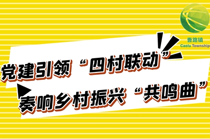 經驗啟示及后續計劃