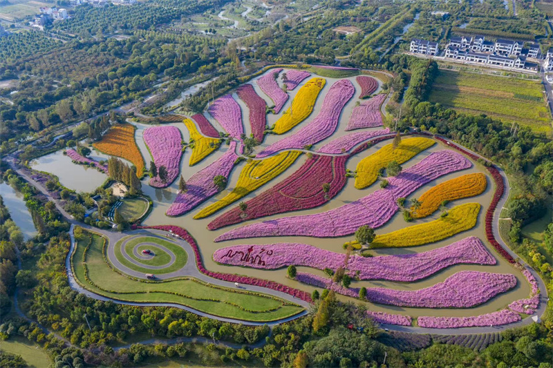 花開海上生態園